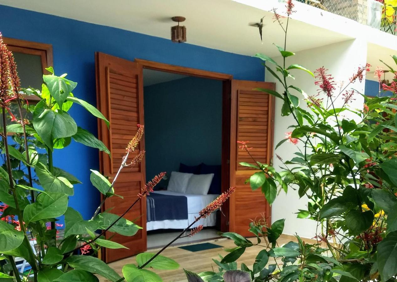 Casa Viva A Vida Bed and breakfast