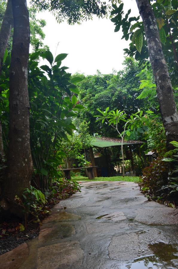 Bed and breakfast Casa Viva A Vida Lencois