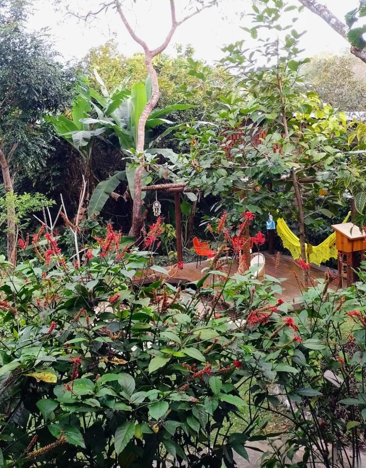 Casa Viva A Vida Bed and breakfast *