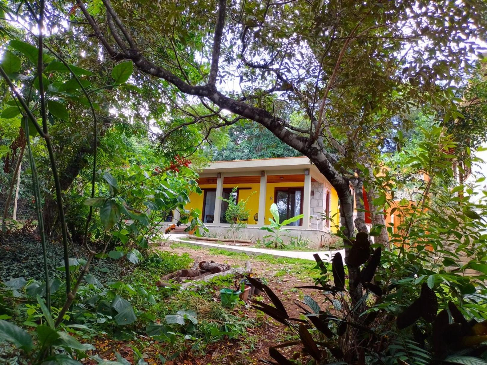Bed and breakfast Casa Viva A Vida *